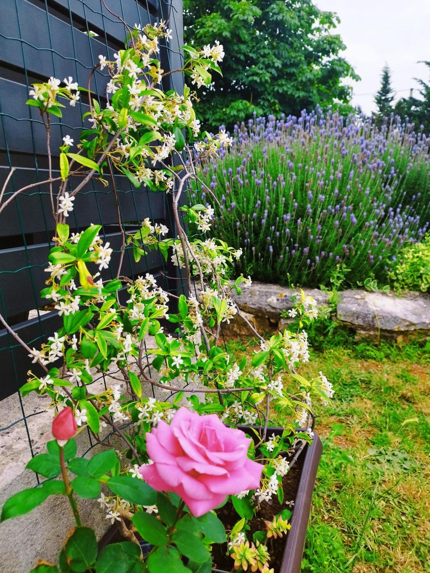 Lennida Studio Apartman With Free Parking Kavran Dış mekan fotoğraf